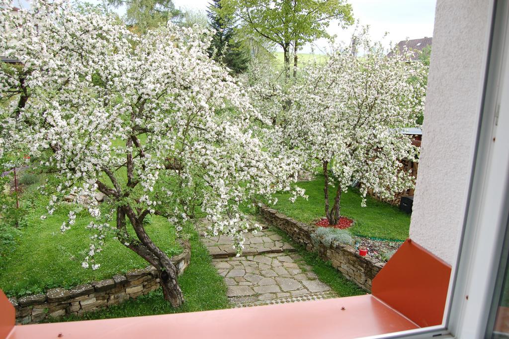 Penzión Belvia Nová Lesná Kültér fotó